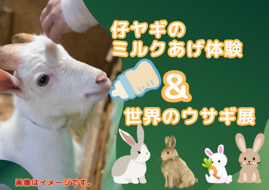 仔ヤギのミルクあげ体験＆世界のウサギ展（ふれあい動物）